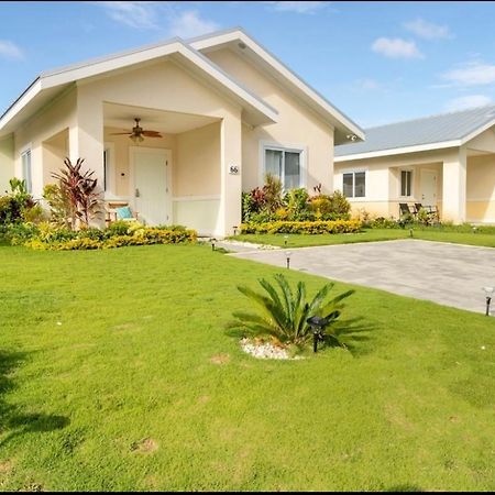 Natty'S Cozy Beach House In Hanover Jamaica Lucea Dış mekan fotoğraf