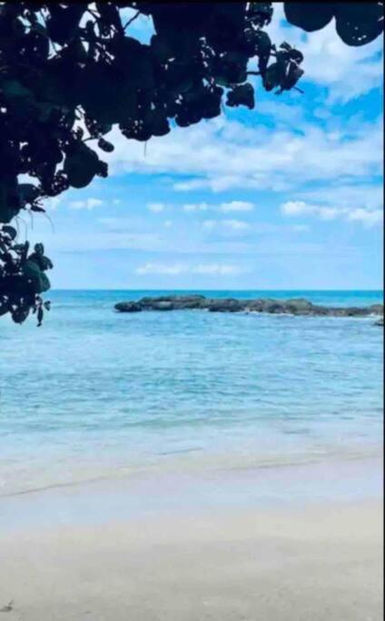 Natty'S Cozy Beach House In Hanover Jamaica Lucea Dış mekan fotoğraf