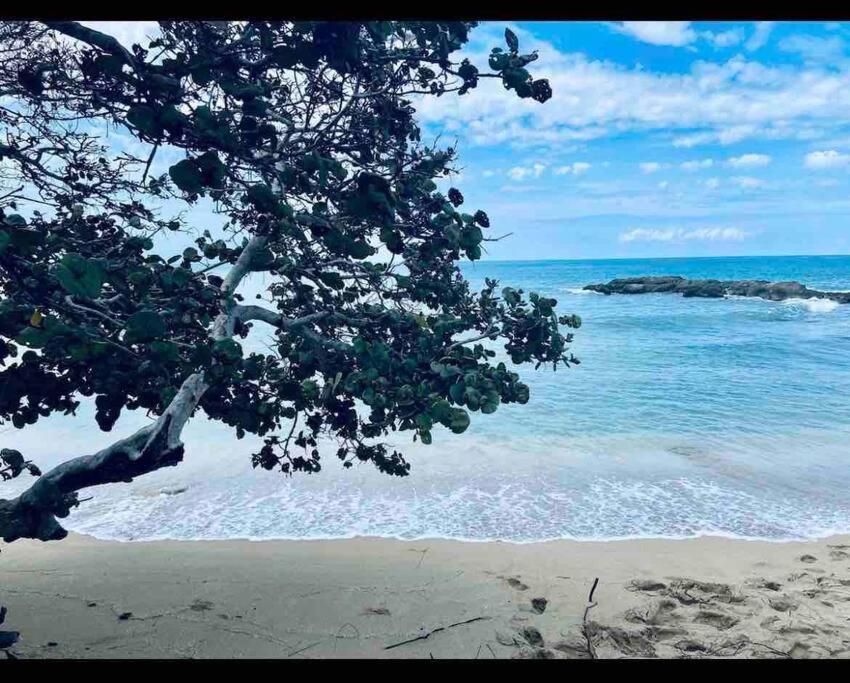 Natty'S Cozy Beach House In Hanover Jamaica Lucea Dış mekan fotoğraf